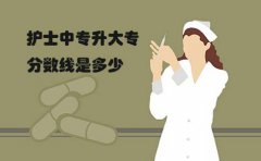 护士中专升大专分数线是多少